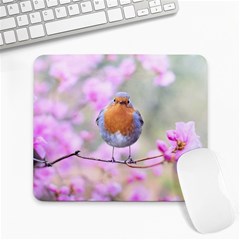 Spring Bird Bird Spring Robin Large Mousepads by Celenk