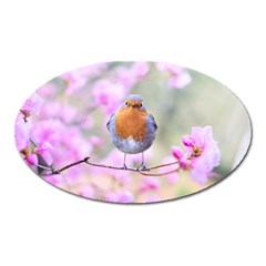 Spring Bird Bird Spring Robin Oval Magnet by Celenk