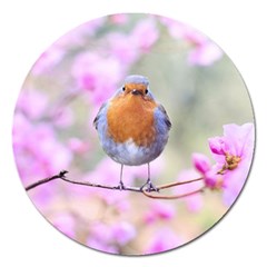 Spring Bird Bird Spring Robin Magnet 5  (round) by Celenk