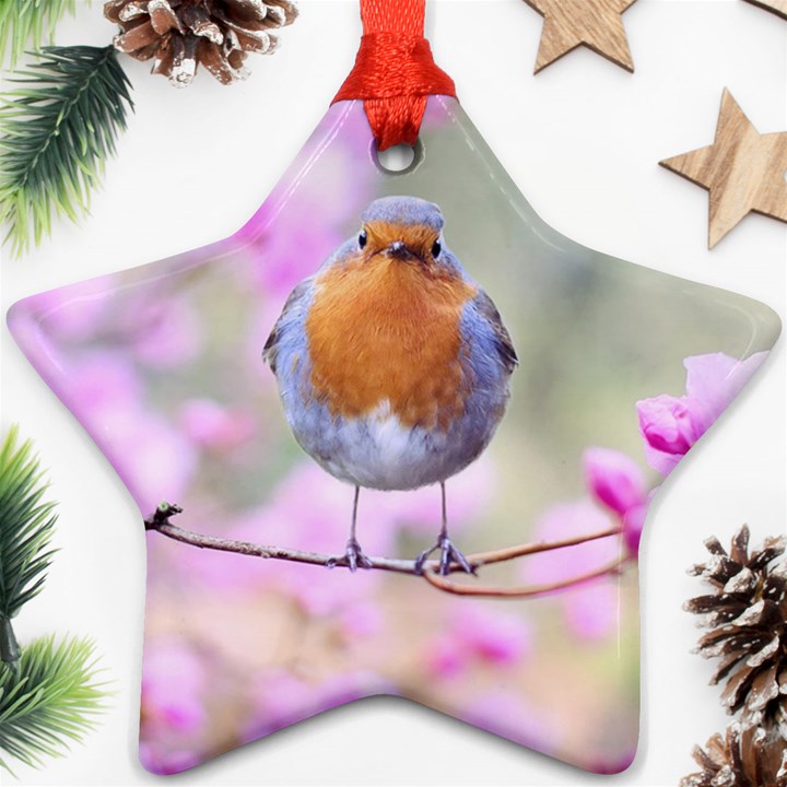 Spring Bird Bird Spring Robin Star Ornament (Two Sides)