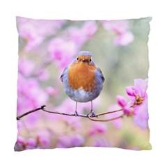 Spring Bird Bird Spring Robin Standard Cushion Case (one Side) by Celenk