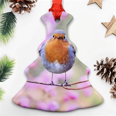 Spring Bird Bird Spring Robin Christmas Tree Ornament (two Sides) by Celenk