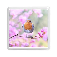 Spring Bird Bird Spring Robin Memory Card Reader (square)  by Celenk