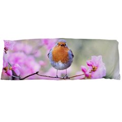 Spring Bird Bird Spring Robin Body Pillow Case Dakimakura (two Sides) by Celenk