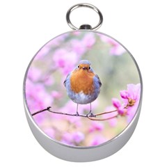 Spring Bird Bird Spring Robin Silver Compasses by Celenk