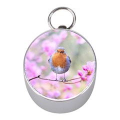 Spring Bird Bird Spring Robin Mini Silver Compasses by Celenk