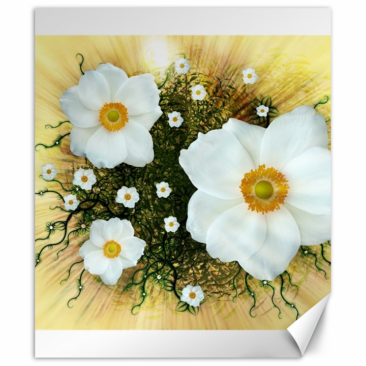 Summer Anemone Sylvestris Canvas 20  x 24  