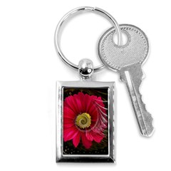 Fantasy Flower Fractal Blossom Key Chains (rectangle)  by Celenk