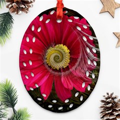 Fantasy Flower Fractal Blossom Ornament (oval Filigree) by Celenk