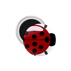 Ladybug Insects Colors Alegre 1 75  Magnets by Celenk