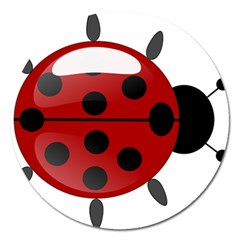 Ladybug Insects Colors Alegre Magnet 5  (round) by Celenk