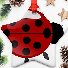 Ladybug Insects Colors Alegre Star Ornament (two Sides) by Celenk