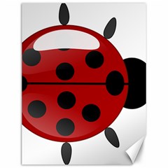 Ladybug Insects Colors Alegre Canvas 12  X 16  