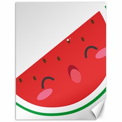 Watermelon Red Network Fruit Juicy Canvas 12  x 16  