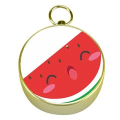 Watermelon Red Network Fruit Juicy Gold Compasses