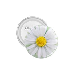 Art Daisy Flower Art Flower Deco 1 75  Buttons