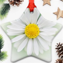 Art Daisy Flower Art Flower Deco Ornament (star) by Celenk