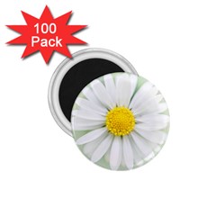 Art Daisy Flower Art Flower Deco 1 75  Magnets (100 Pack)  by Celenk