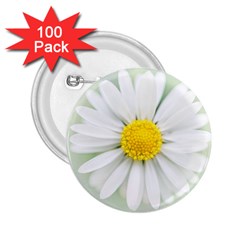 Art Daisy Flower Art Flower Deco 2 25  Buttons (100 Pack)  by Celenk