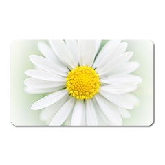 Art Daisy Flower Art Flower Deco Magnet (rectangular) by Celenk