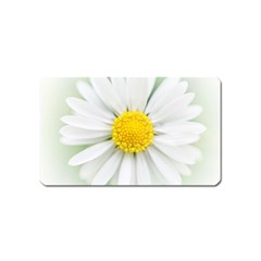 Art Daisy Flower Art Flower Deco Magnet (name Card) by Celenk