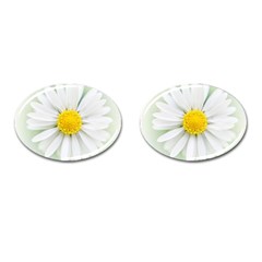 Art Daisy Flower Art Flower Deco Cufflinks (oval) by Celenk