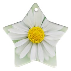 Art Daisy Flower Art Flower Deco Star Ornament (two Sides)