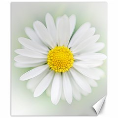 Art Daisy Flower Art Flower Deco Canvas 8  X 10  by Celenk