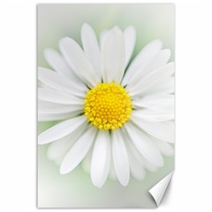 Art Daisy Flower Art Flower Deco Canvas 24  X 36  by Celenk