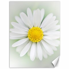 Art Daisy Flower Art Flower Deco Canvas 36  X 48   by Celenk