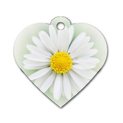 Art Daisy Flower Art Flower Deco Dog Tag Heart (two Sides) by Celenk