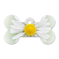 Art Daisy Flower Art Flower Deco Dog Tag Bone (one Side) by Celenk