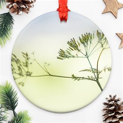 Spring Plant Nature Blue Green Ornament (round) by Celenk