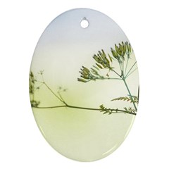 Spring Plant Nature Blue Green Oval Ornament (two Sides) by Celenk