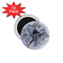 Winter Frost Ice Sheet Leaves 1 75  Magnets (10 Pack)  by Celenk