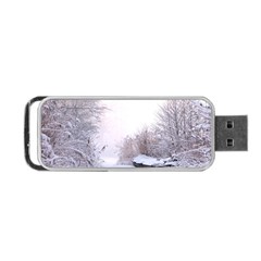 Winter Snow Ice Freezing Frozen Portable Usb Flash (one Side) by Celenk