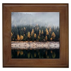 Trees Plants Nature Forests Lake Framed Tiles by Celenk