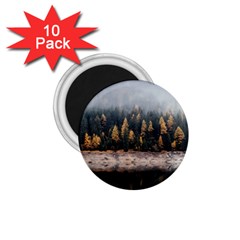 Trees Plants Nature Forests Lake 1 75  Magnets (10 Pack)  by Celenk