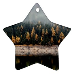 Trees Plants Nature Forests Lake Star Ornament (two Sides)