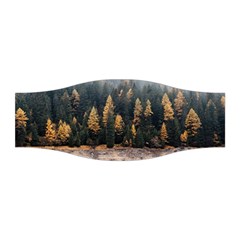 Trees Plants Nature Forests Lake Stretchable Headband by Celenk