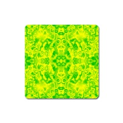 Pattern Square Magnet by gasi