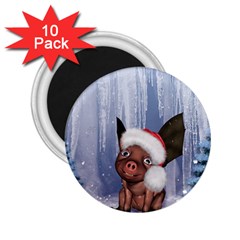 Christmas, Cute Little Piglet With Christmas Hat 2.25  Magnets (10 pack) 