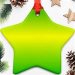 Pattern Star Ornament (Two Sides) Back