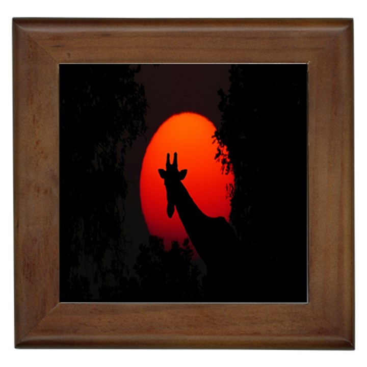 Giraffe Animal Africa Sunset Framed Tiles