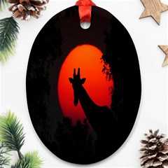 Giraffe Animal Africa Sunset Ornament (oval) by Celenk