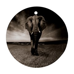 Elephant Black And White Animal Ornament (round) by Celenk