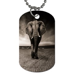 Elephant Black And White Animal Dog Tag (two Sides) by Celenk