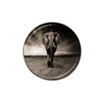 Elephant Black And White Animal Hat Clip Ball Marker (4 pack) Front