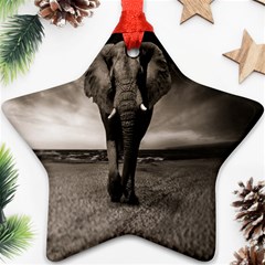 Elephant Black And White Animal Star Ornament (two Sides) by Celenk