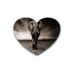 Elephant Black And White Animal Heart Coaster (4 Pack)  by Celenk